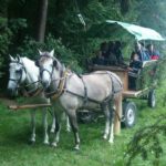 Jahresausflug 2004: Wanderung und Rückreise mit Pferd und Wagen